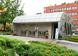 ������ ������