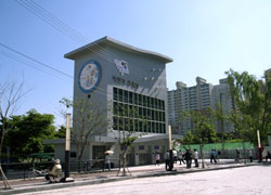 ������ ������