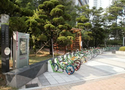 ������ ������