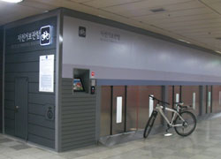 ������ ������